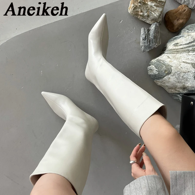 Aneikeh 2027 Moda Seksi Sivri  - Women'S Fashion Knee High Boots incelemesi ve fiyatı