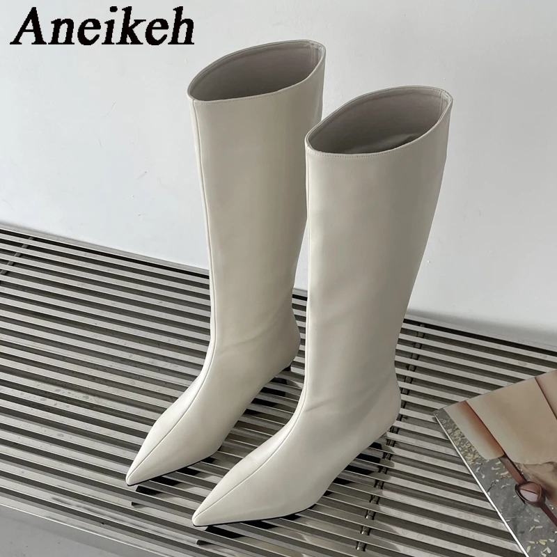 Aneikeh 2027 Moda Seksi Sivri  - Women'S Fashion Knee High Boots incelemesi ve fiyatı